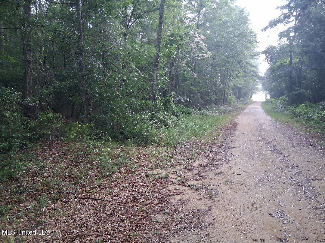 Us-45 Buckatunna, MS 39322 - Photo 3 of 8 3