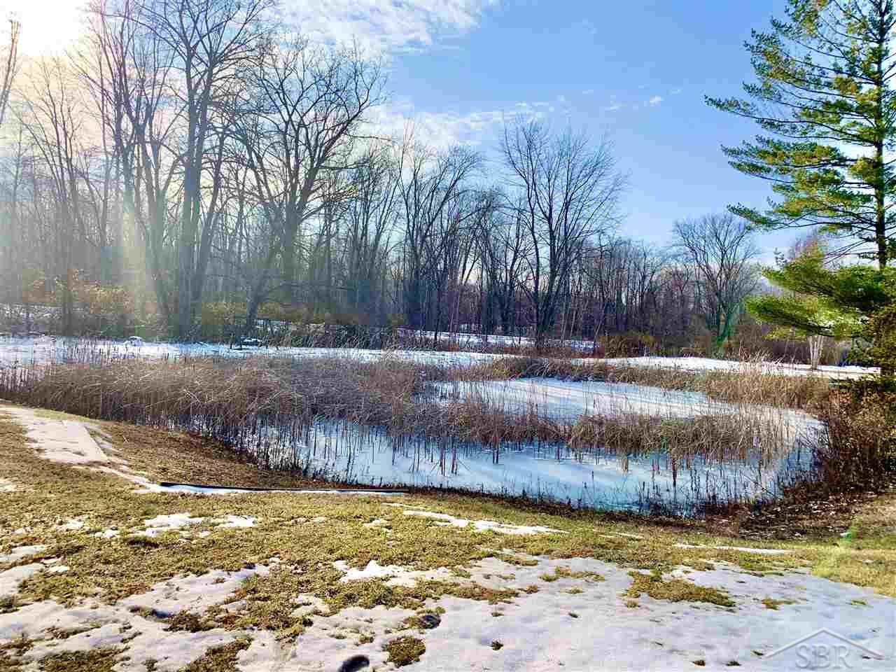 2633 West Snover Road Mayville, MI 48744 - Photo 26 of 28 Pond