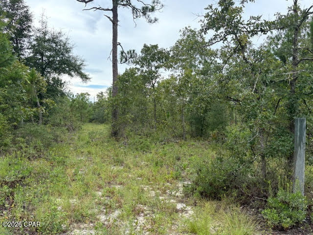 4539 Northwest White Road Altha, FL 32421 - Photo 44 of 82