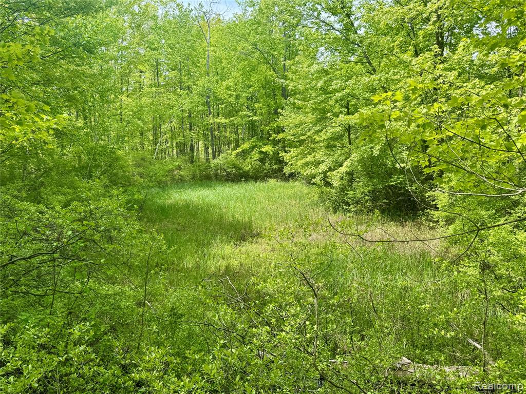 499 East Winegars Road Gladwin, MI 48624 - Photo 7 of 33 Gallery Image 7