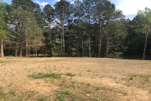 6620 North Highway 27 Rock Spring, GA 30739 - Photo 4 of 12