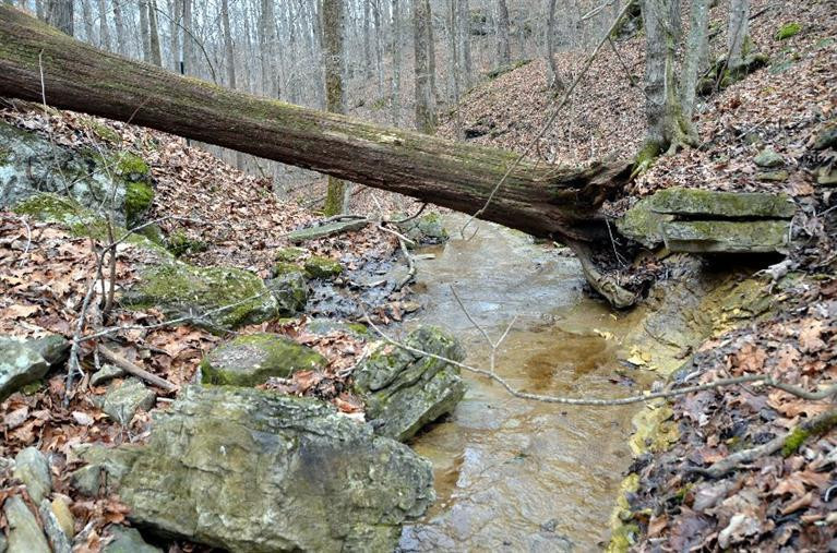 1709 Macedonia Road Irvine, KY 40336 - Photo 77 of 87 Spring fed creek! This is one massive s