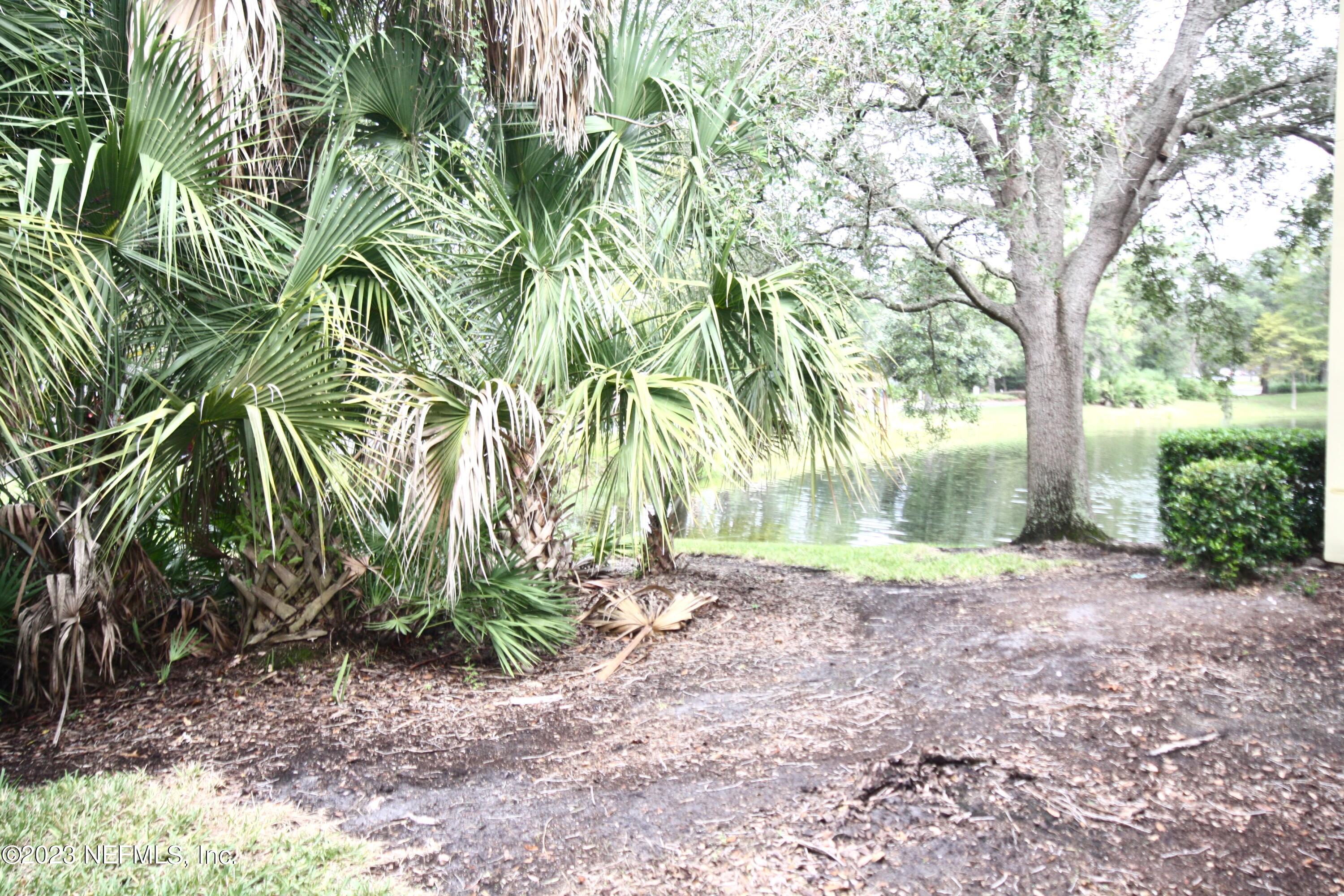 10150 Belle Rive Boulevard, Unit 2303 Jacksonville, FL 32256 - Photo 27 of 28 a backyard of a house with lots of green space