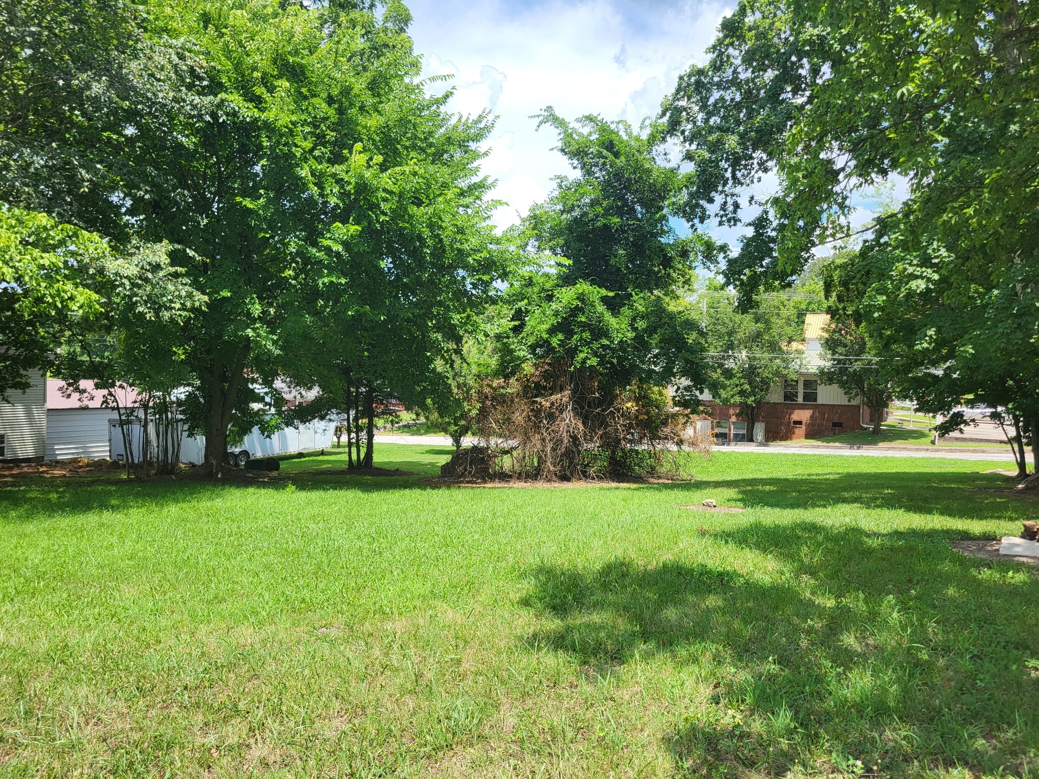 1 Maple Avenue Camden, TN 38320 - Photo 2 of 9 a view of a trees in a yard