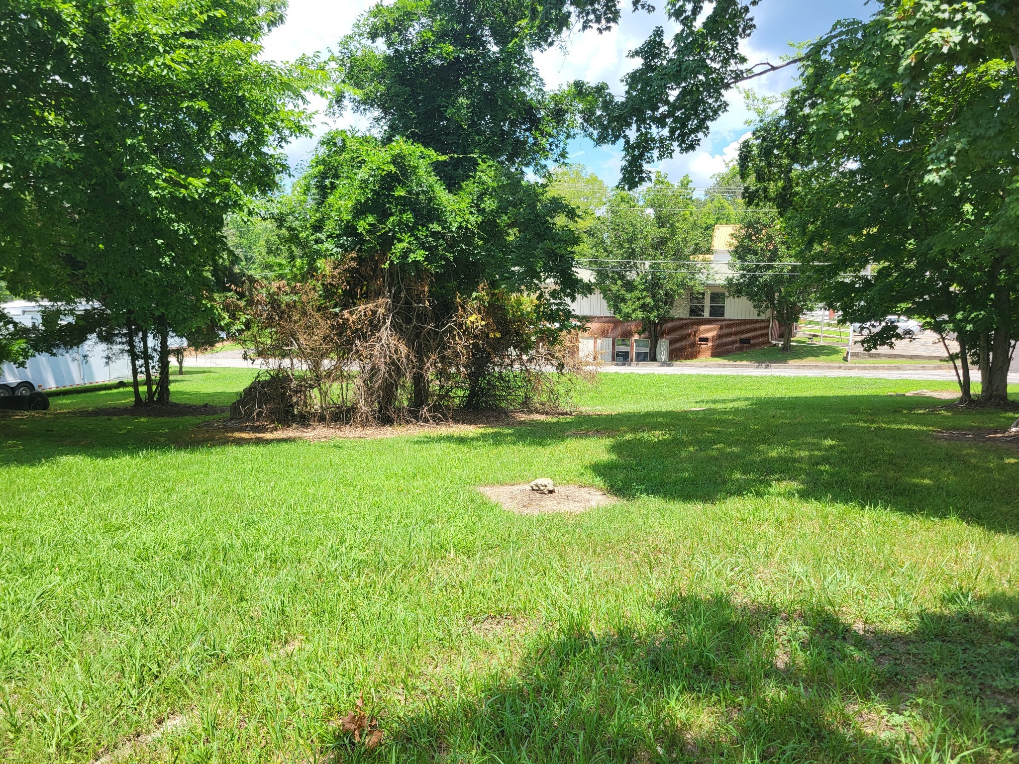 1 Maple Avenue Camden, TN 38320 - Photo 6 of 9 a view of a park with large trees