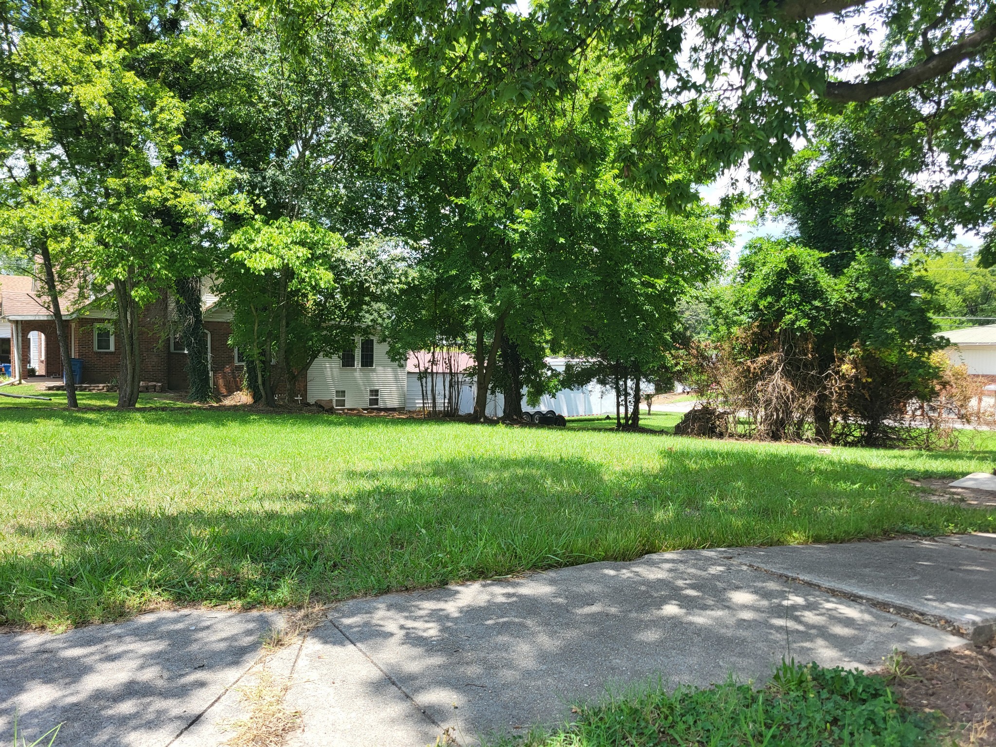 1 Maple Avenue Camden, TN 38320 - Photo 8 of 9 a view of a yard with plants and trees