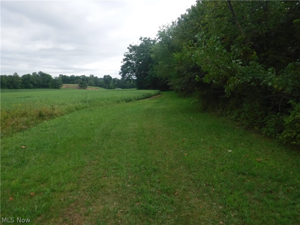 River Road North Dresden, OH 43821 - Photo 21 of 32 North woodline of property looking back east.