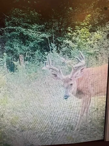 $1,399,000 | 9184 Highway 37, Wellston, MI 49689