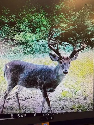 $1,399,000 | 9184 Highway 37, Wellston, MI 49689