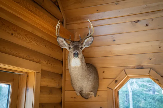 $1,399,000 | 9184 Highway 37, Wellston, MI 49689