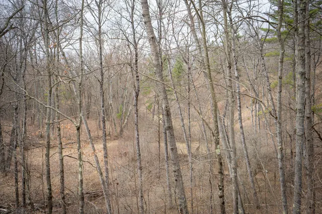 $1,399,000 | 9184 Highway 37, Wellston, MI 49689