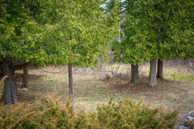 $1,399,000 | 9184 Highway 37, Wellston, MI 49689