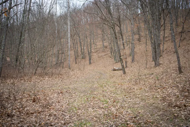 $1,399,000 | 9184 Highway 37, Wellston, MI 49689