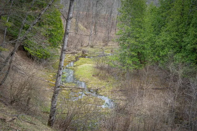 $1,399,000 | 9184 Highway 37, Wellston, MI 49689