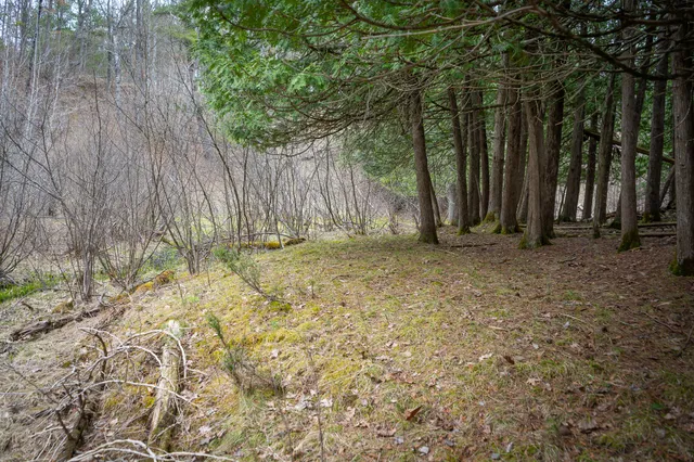 $1,399,000 | 9184 Highway 37, Wellston, MI 49689