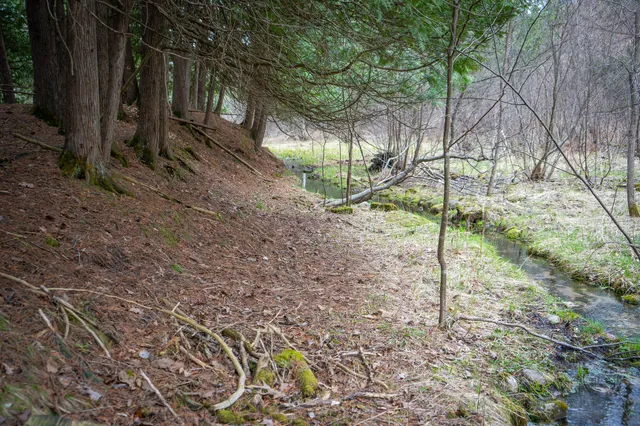 $1,399,000 | 9184 Highway 37, Wellston, MI 49689