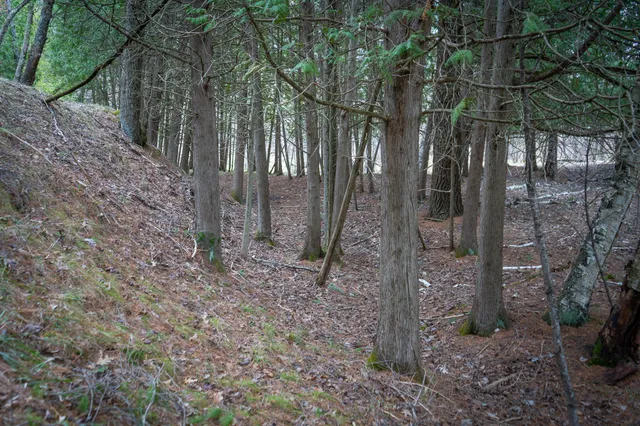 $1,399,000 | 9184 Highway 37, Wellston, MI 49689