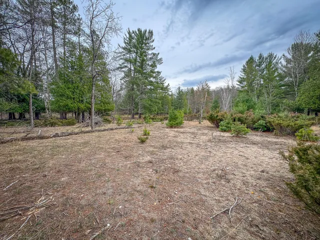 $1,399,000 | 9184 Highway 37, Wellston, MI 49689