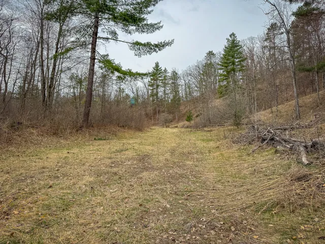 $1,399,000 | 9184 Highway 37, Wellston, MI 49689