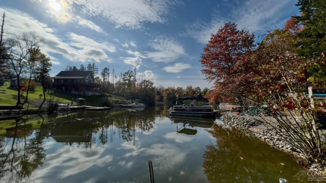 a view of a house with backyard and a tree