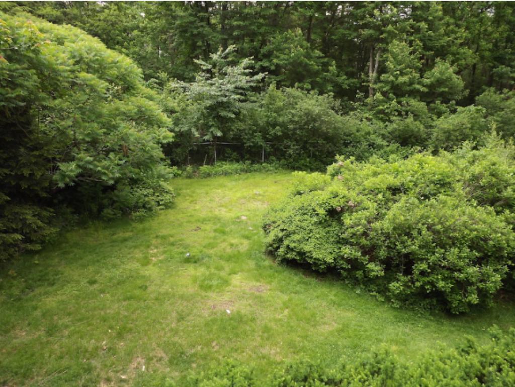 41 Farmington Road Nashua, NH 03060 - Photo 32 of 36