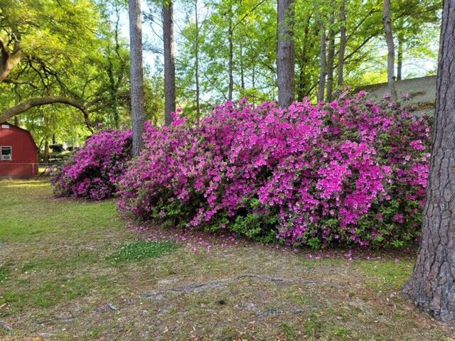 114 Arbor Road Summerville, SC 29485 - Photo 14 of 14 123_1
