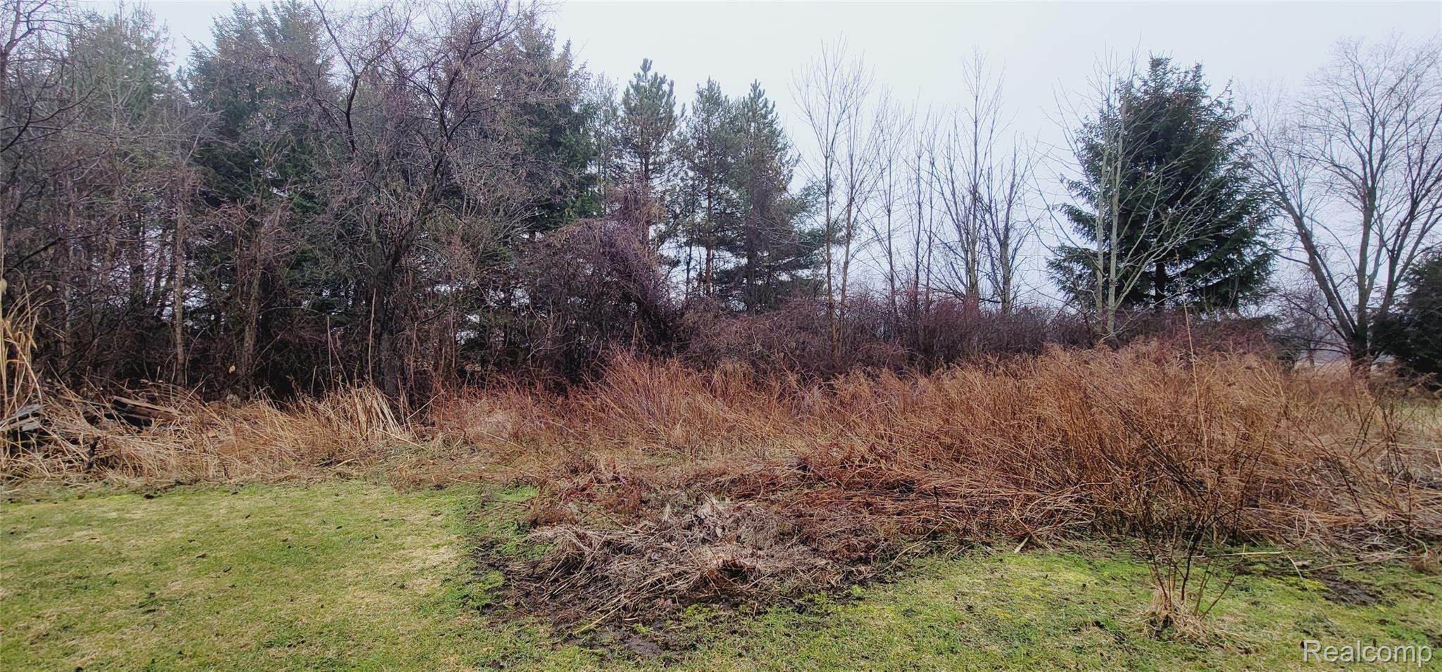 5265 Beard Road North Street, MI 48049 - Photo 12 of 37 20220319_104439.jpg