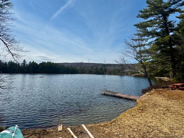 Lot 4 Otter Pond Road Harmony, ME 04942 - Photo 18 of 47 IMG_2388