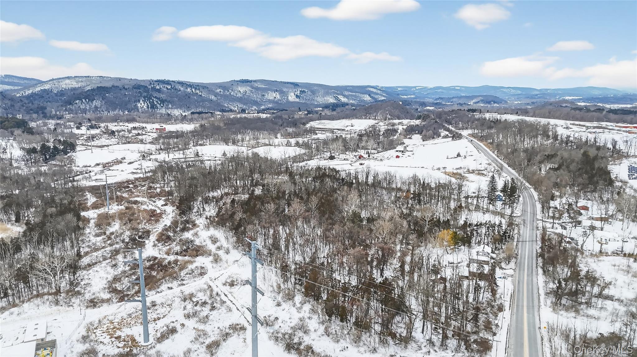 18 Vincent Road Dover Plains, NY 12522 - Photo 6 of 17