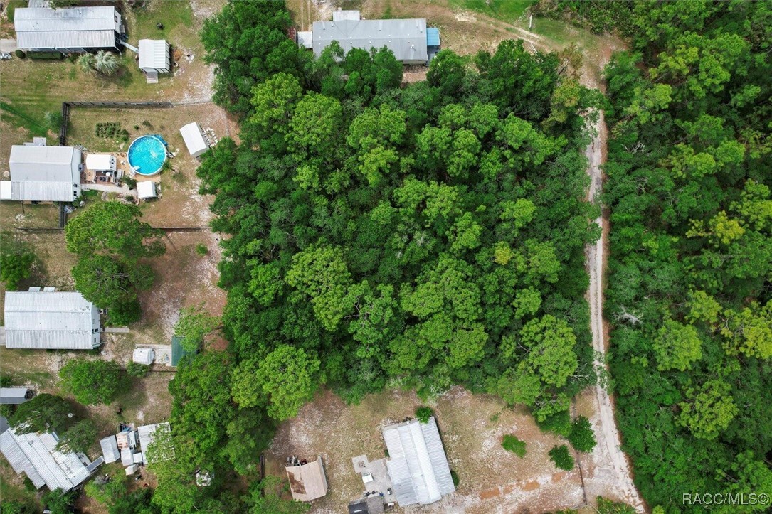 7261 West Stuart Lane Homosassa, FL 34448 - Photo 12 of 15
