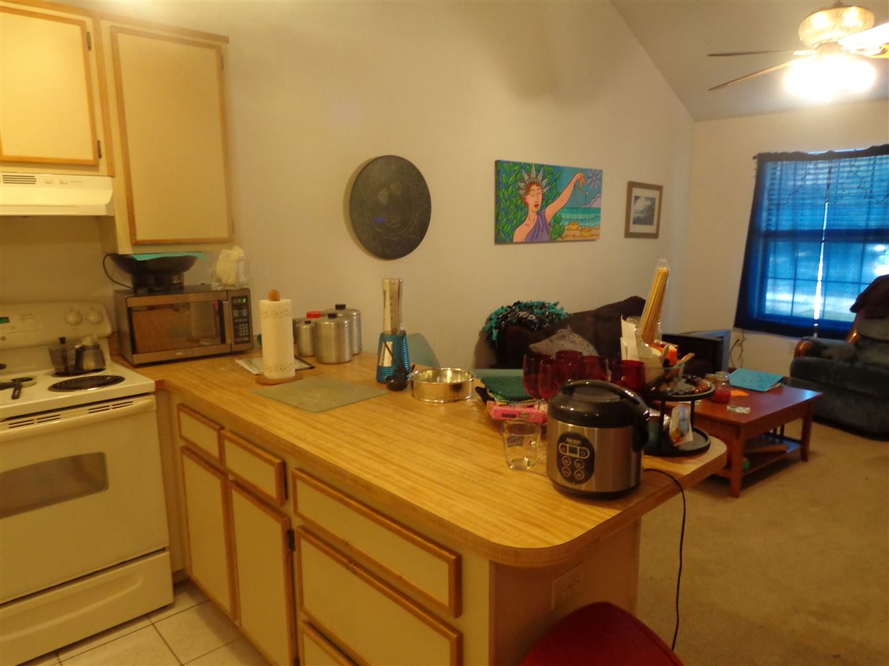 1206 High Road, Unit 36 Tallahassee, FL 32304 - Photo 4 of 21