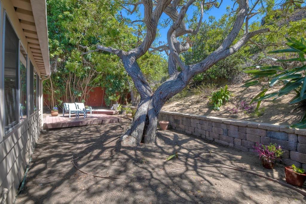 265 Fraxinella Street Encinitas, CA 92024 - Photo 33 of 36