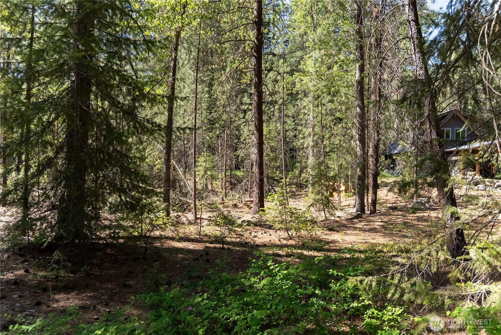3 Mazama Bridge Road Mazama, WA 98833 - Photo 23 of 29