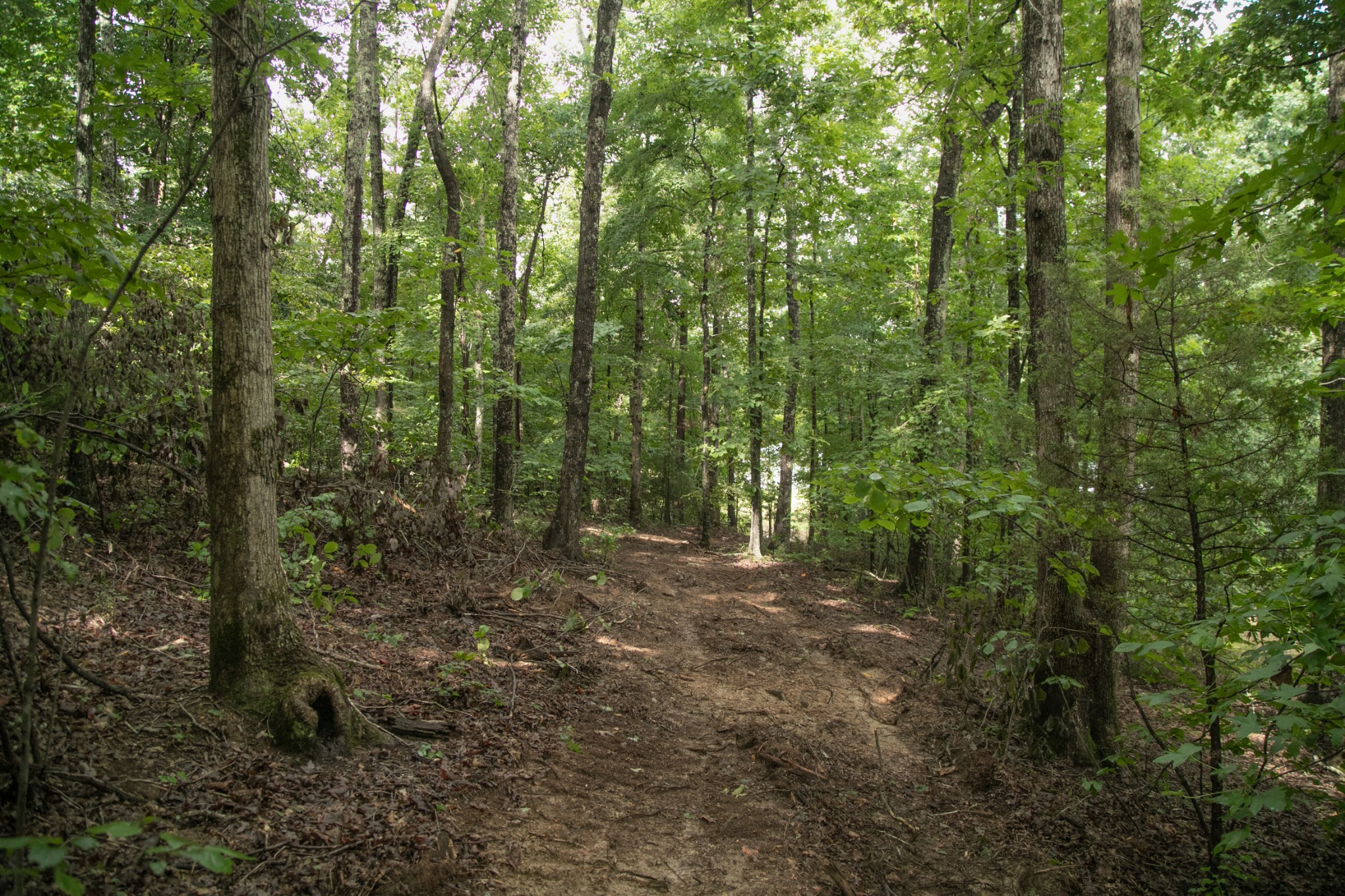 1518 Aetna Cemetery Road Centerville, TN 37033 - Photo 28 of 45 Gallery Image 28