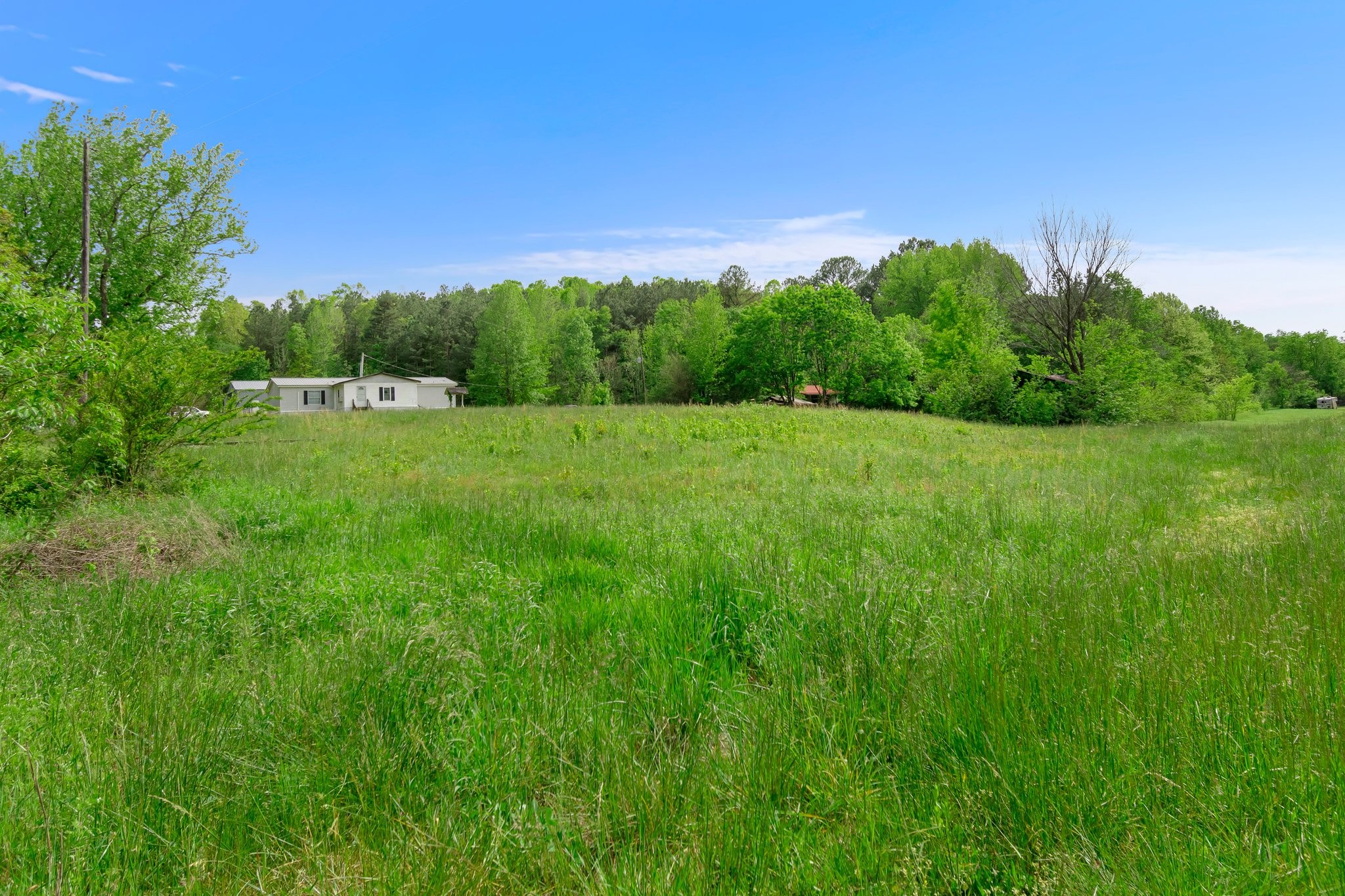 1518 Aetna Cemetery Road Centerville, TN 37033 - Photo 8 of 45 Gallery Image 8