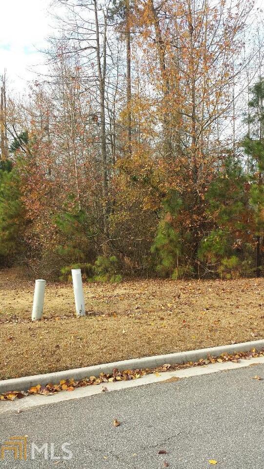 53 Stable Lane Dallas, GA 30132 - Photo 1 of 1 Gallery Image 1