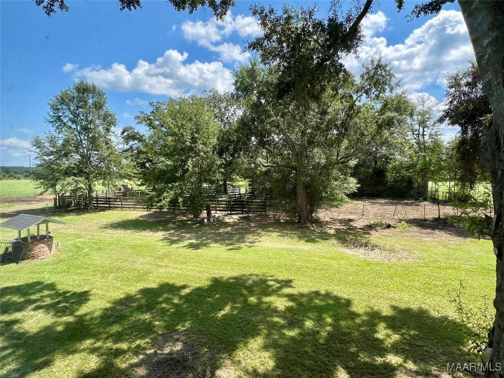1091 Old Geneva Road Samson, AL 36477 - Photo 35 of 36 Gallery Image 35