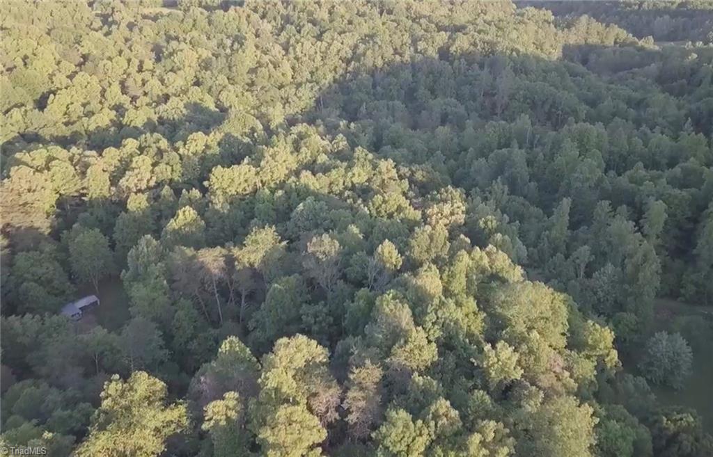0 Puckett Road Westfield, NC 27053 - Photo 7 of 7