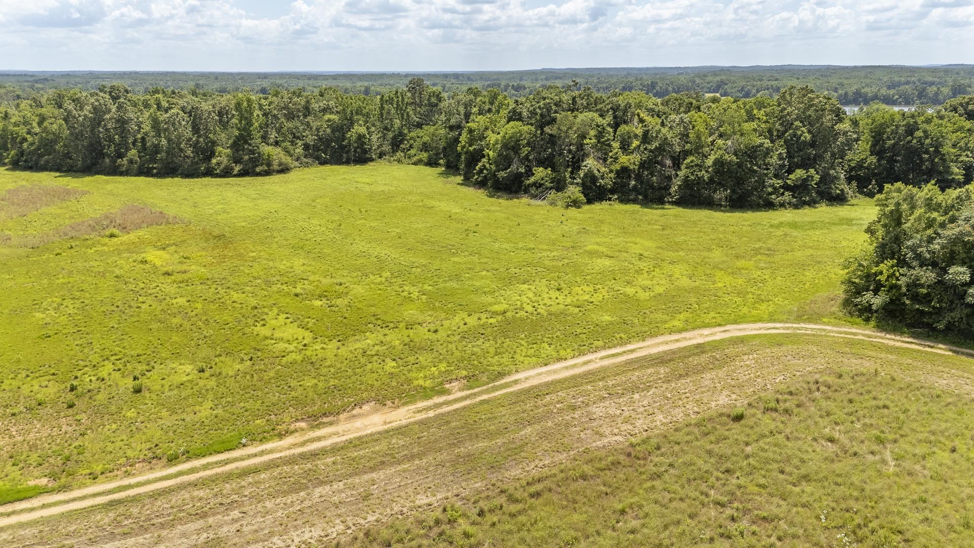 10157 Clifton Road Savannah, TN 38372 - Photo 8 of 40