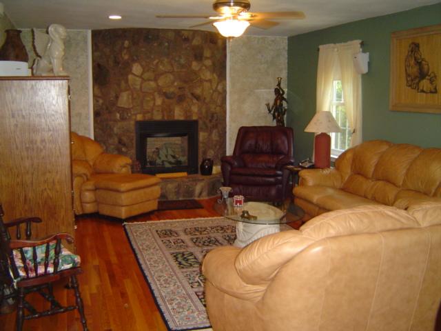 4555 Alean Road Boones Mill, VA 24065 - Photo 3 of 15 Fireplace