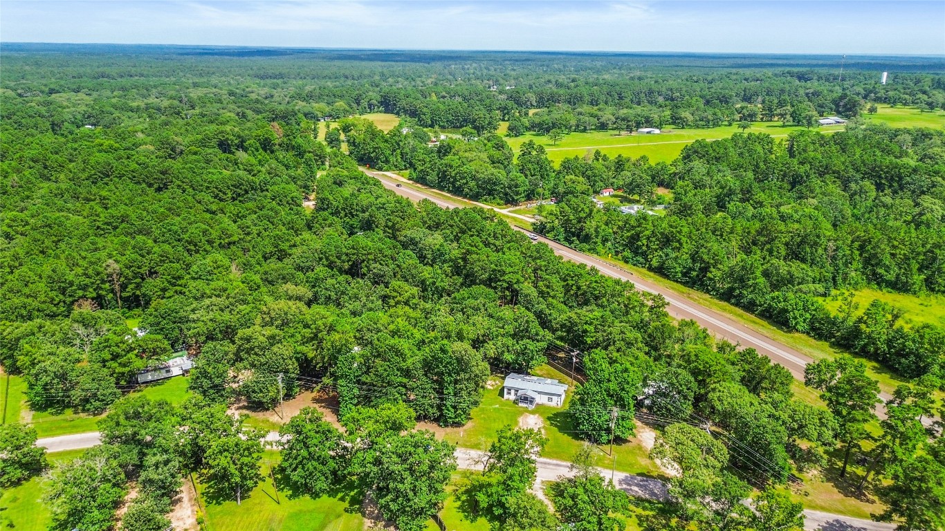 8 Jackson Road Huntsville, TX 77320 - Photo 19 of 26 a view of a green field with lots of bushes