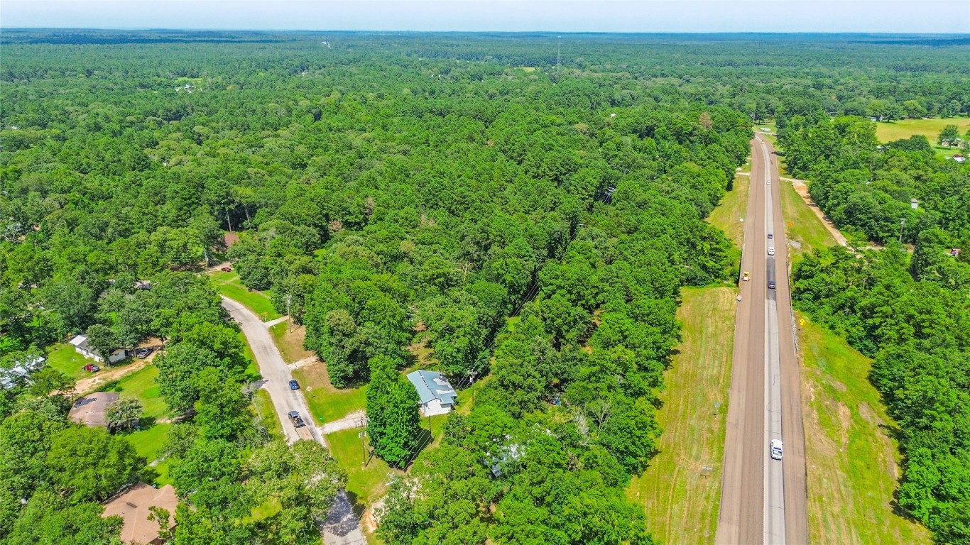 8 Jackson Road Huntsville, TX 77320 - Photo 21 of 26 a view of a garden with a small bridge