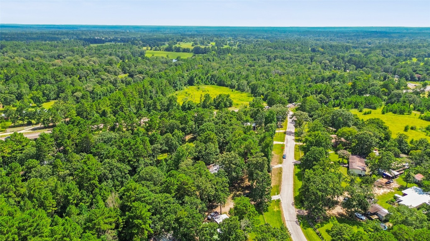 8 Jackson Road Huntsville, TX 77320 - Photo 24 of 26 a view of a green yard with an outdoor seating and trees