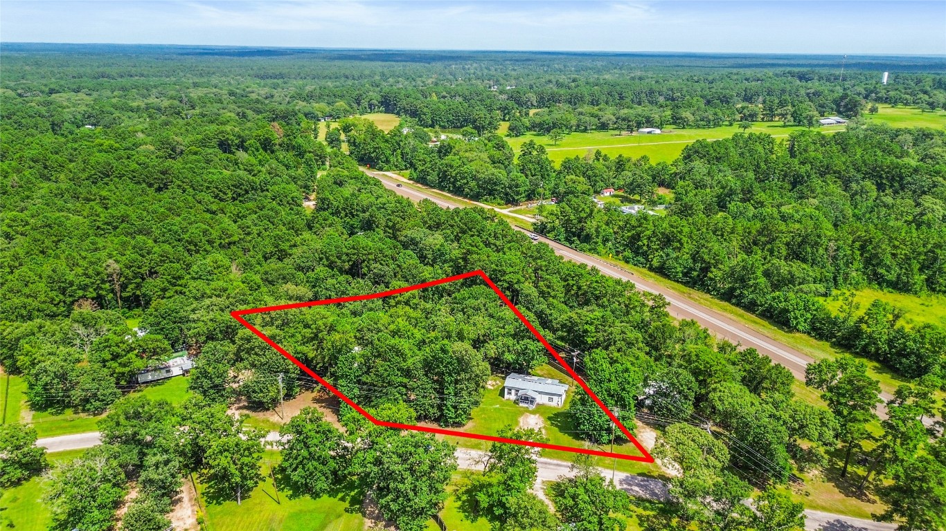 8 Jackson Road Huntsville, TX 77320 - Photo 25 of 26 a view of a lush green forest with lots of trees