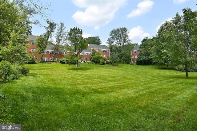 a tall yellow house in middle of the forest