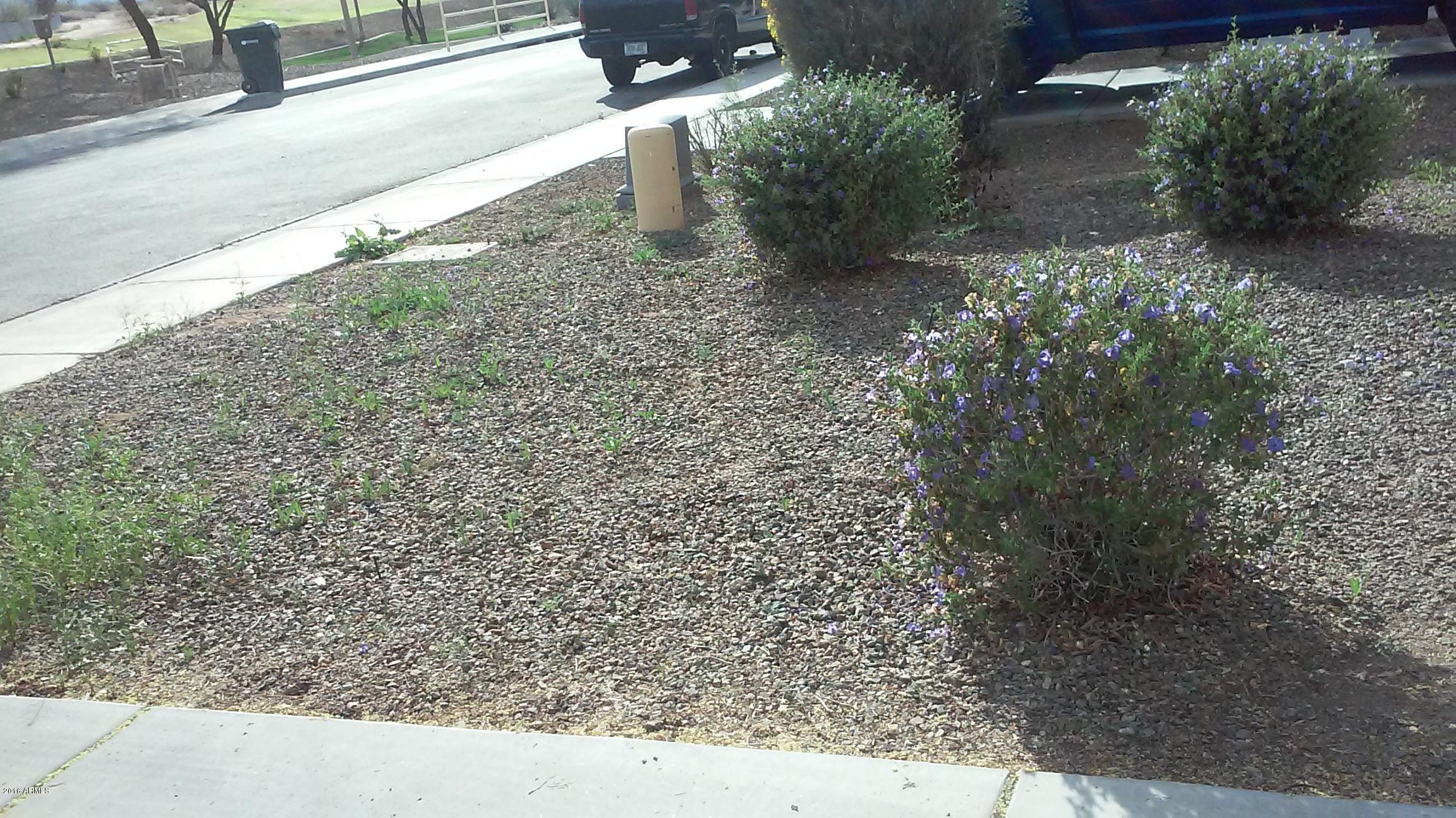 6440 West Beverly Road Laveen, AZ 85339 - Photo 7 of 30 20160301_155045