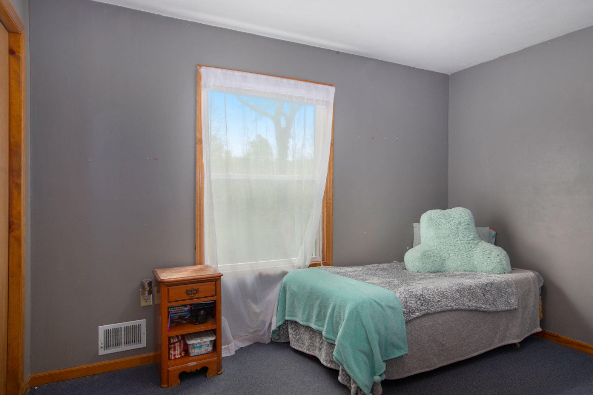 6633 South Clark Road Nashville, MI 49073 - Photo 16 of 25 NDP-DNGs_56