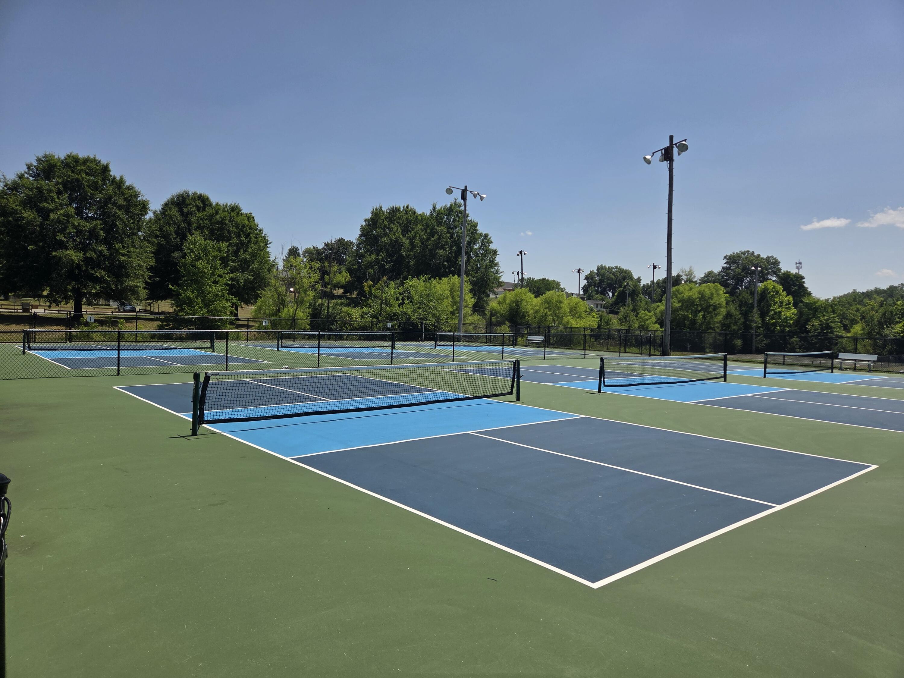7633 Deer Branch Road Roanoke, VA 24019 - Photo 47 of 58 Pickle Ball1