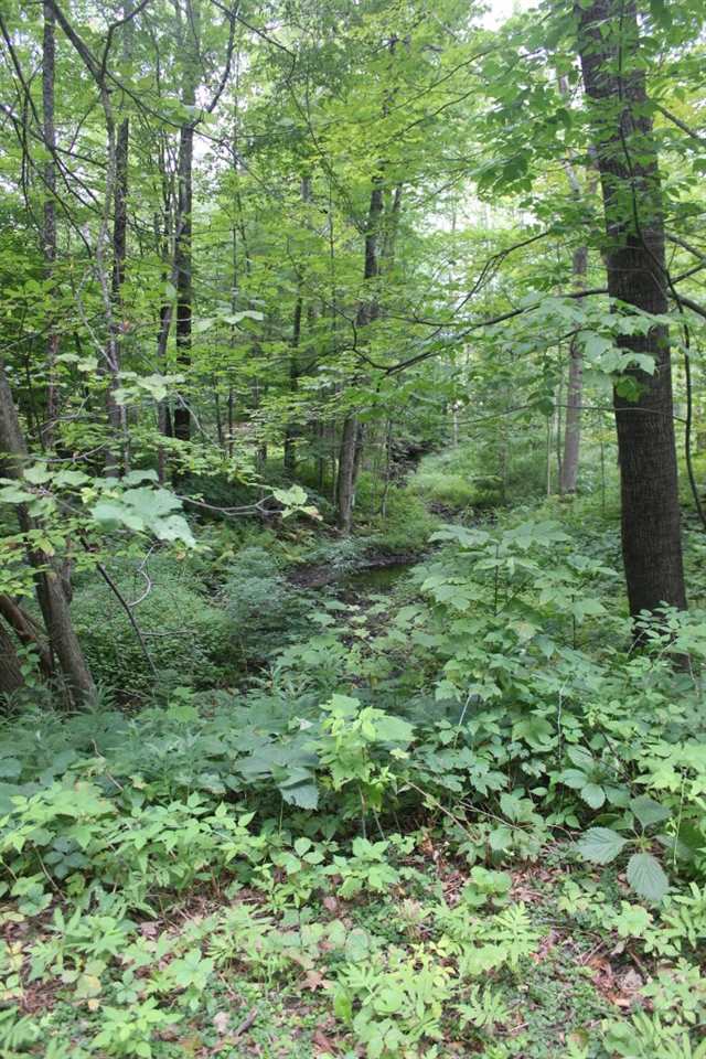 548 Eureka Road Springfield, VT 05156 - Photo 8 of 29