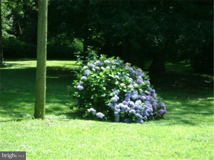 606 Holleger Road Milford, DE 19963 - Photo 11 of 19 Gallery Image 11